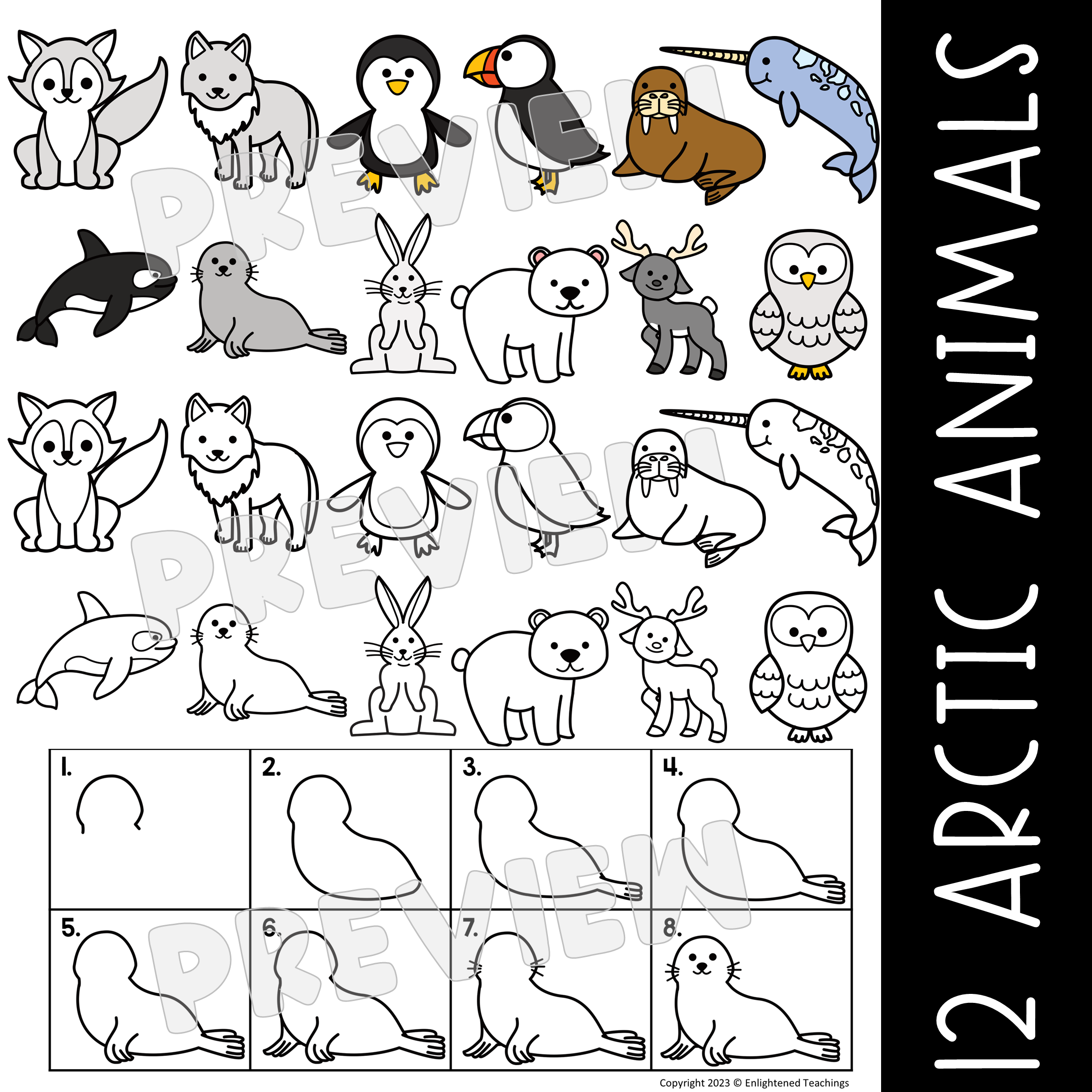 Arctic animal directed drawings worksheets