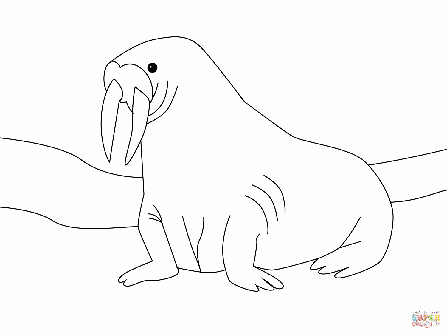 Walrus coloring page free printable coloring pages