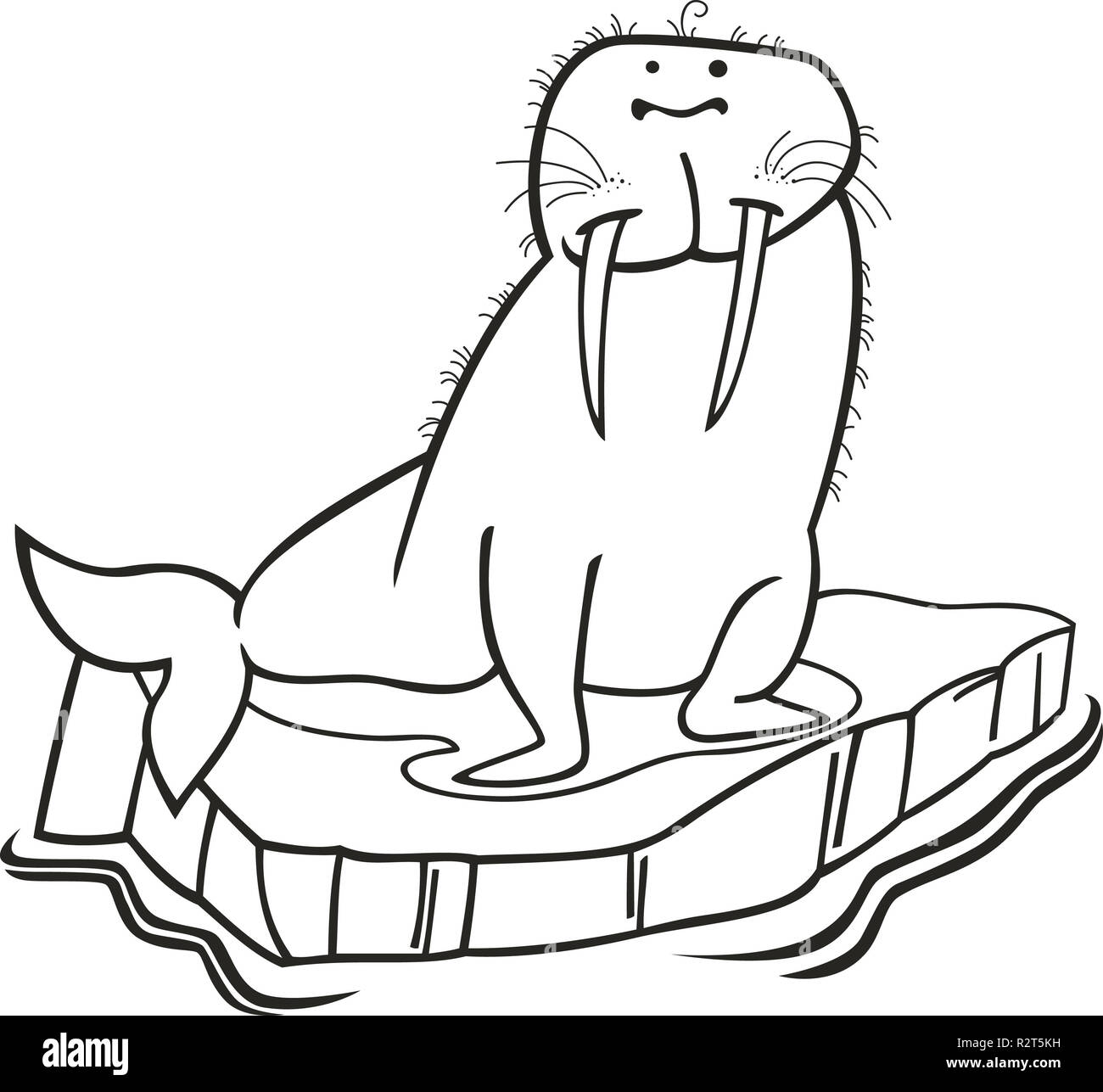 Walrus flipper hi
