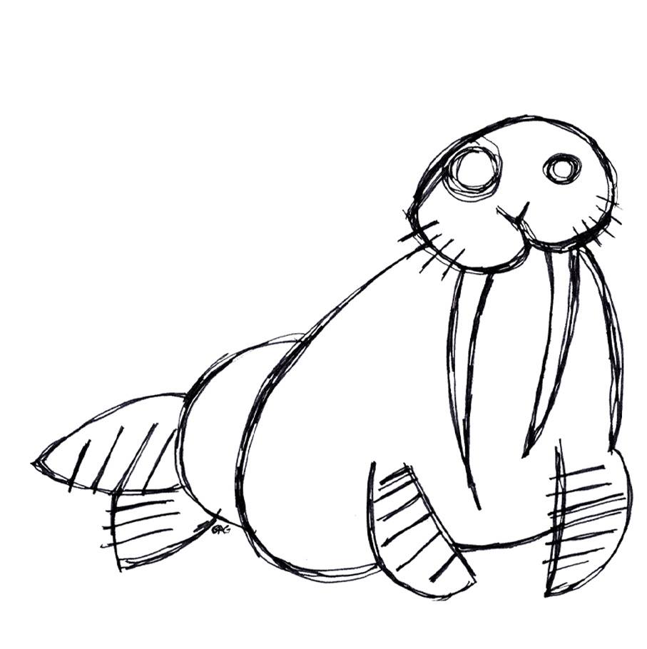 Walrus gillian g illustration