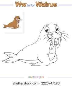 Walrus coloring images stock photos d objects vectors