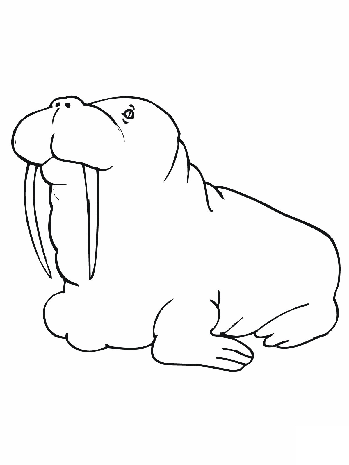 Free printable walrus coloring pages for kids
