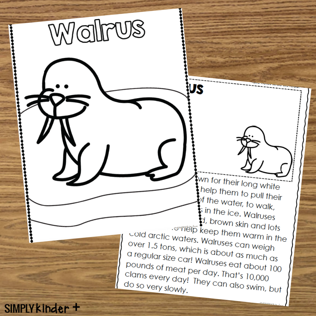 Walrus research report