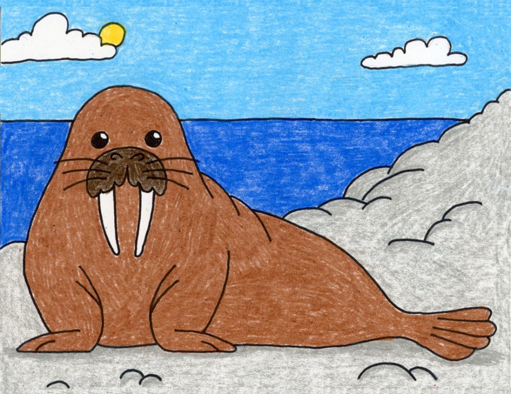 Easy how to draw a walrus tutorial and walrus coloring page kids art projects drawings artic animals