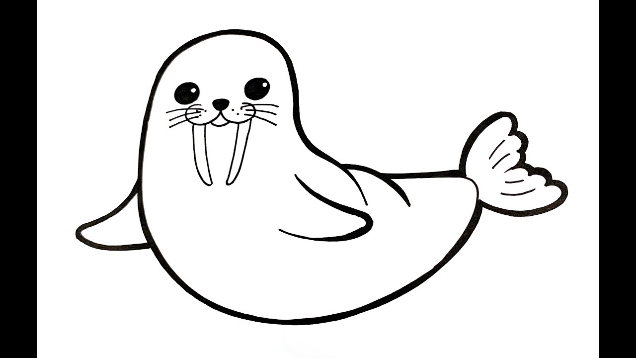 Draw walrus how to draw walrus