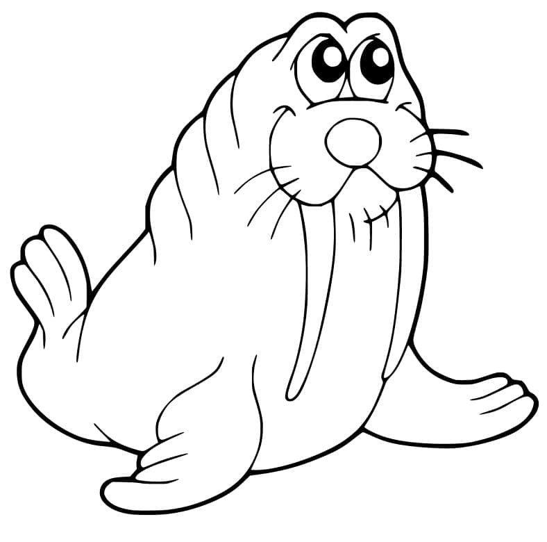 Cute cartoon walrus coloring page