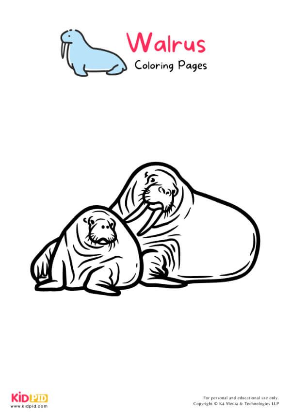 Walrus colorg pages for kids â free prtables prtables free kids colorg pages for kids free kids