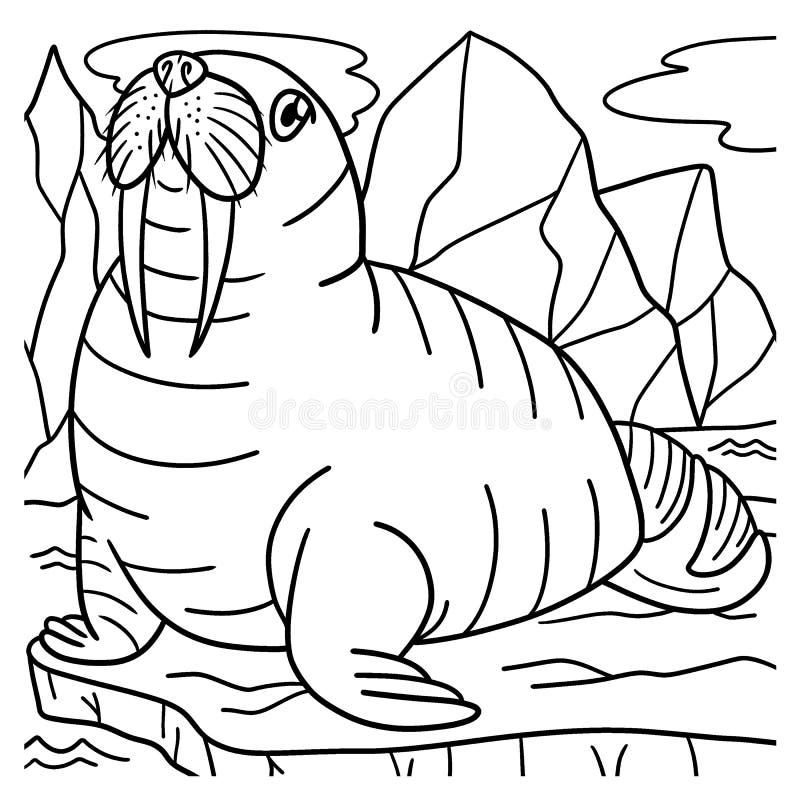 Walrus coloring stock illustrations â walrus coloring stock illustrations vectors clipart