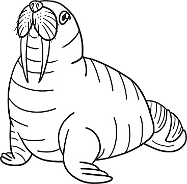 Walrus coloring page for kids underwater ocean walrus vector underwater ocean walrus png and vector with transparent background for free download