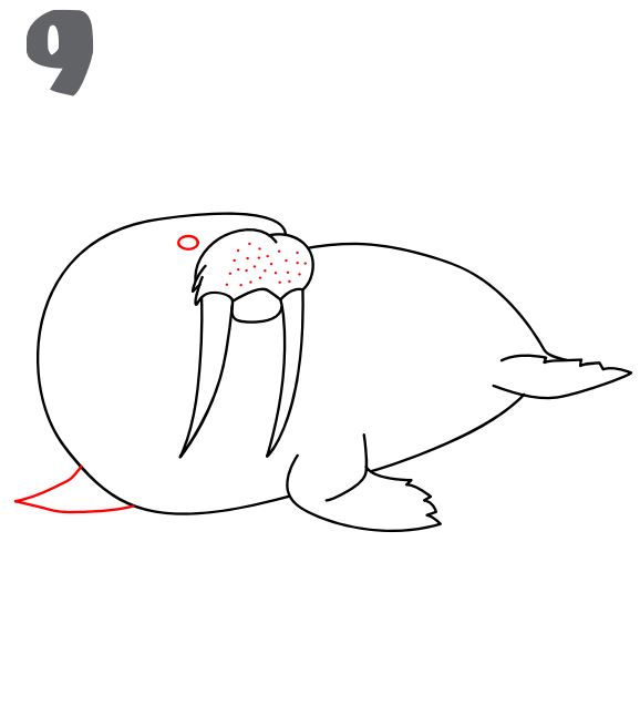 How to draw a walrus