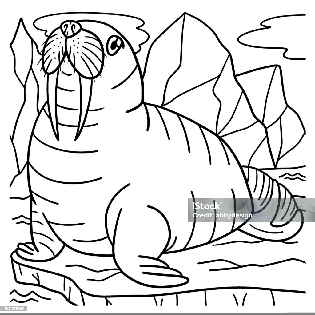 Walrus coloring page for kids stock illustration