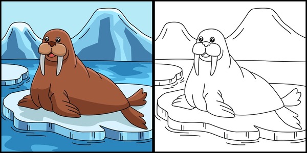 Thousand colorful walrus royalty