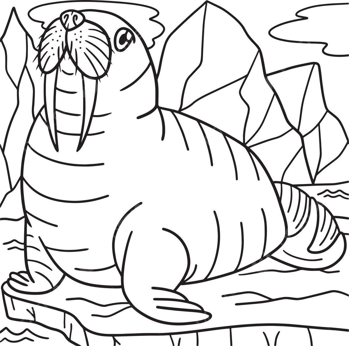 Walrus coloring page for kids underwater ocean walrus vector underwater ocean walrus png and vector with transparent background for free download