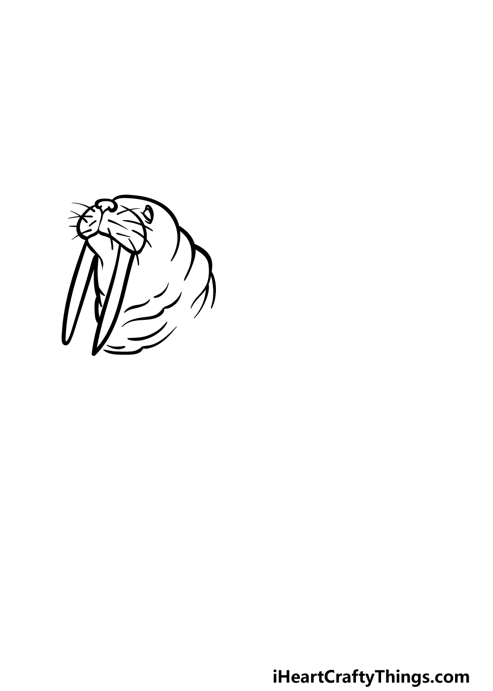 Walrus drawing
