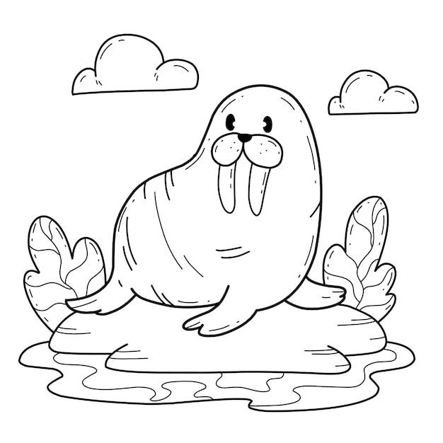 Premium vector animals coloring book alphabet isolated on white background vector cartoon walrus