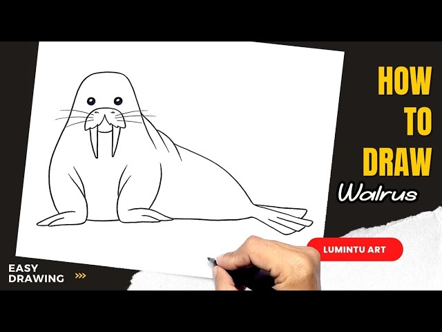 How to draw walrus