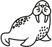 Walrus coloring pages free coloring pages