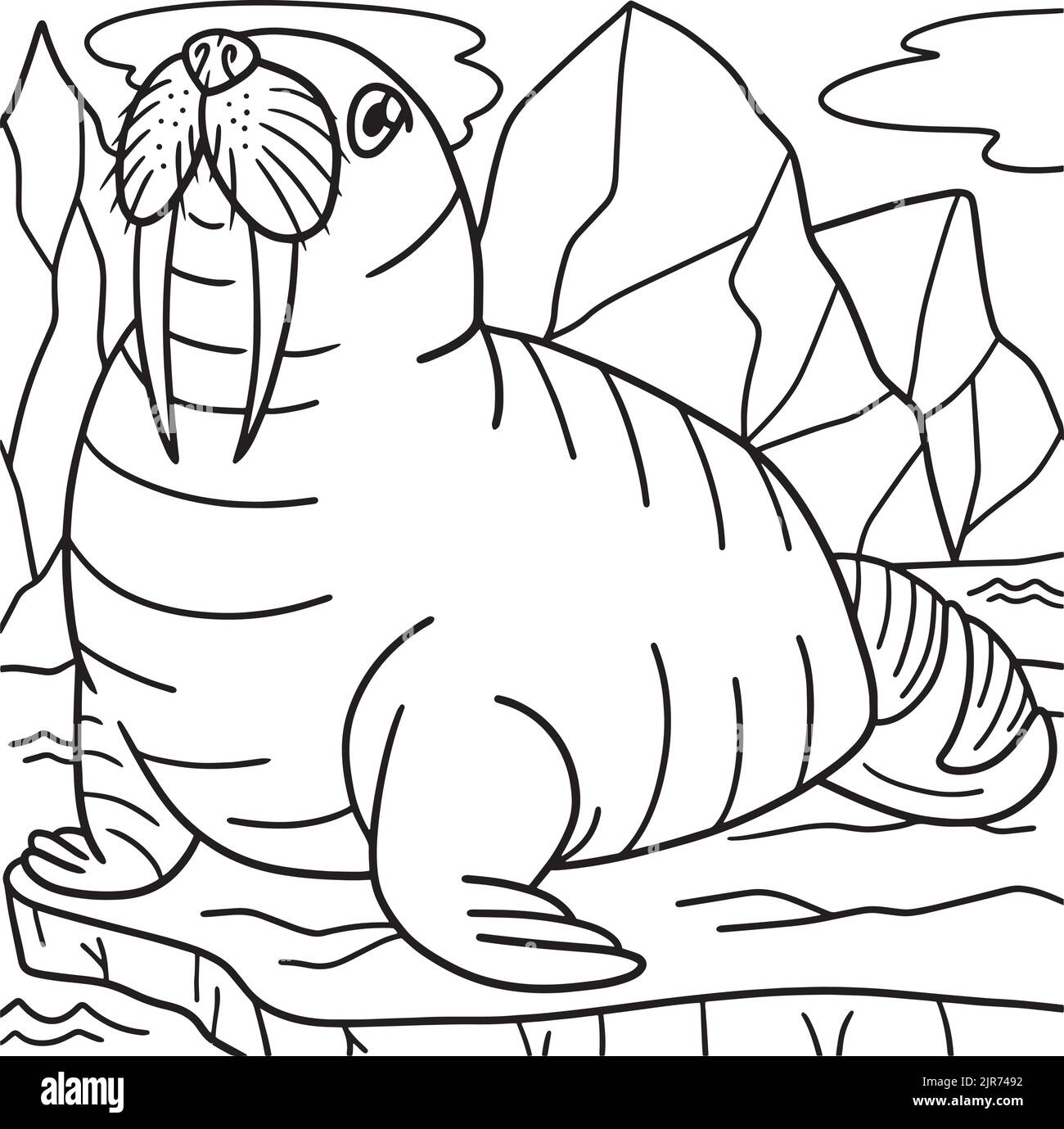 Walrus illustration black and white stock photos images