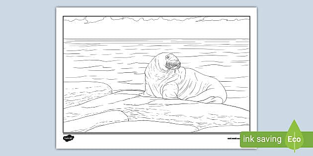 Wally the walrus louring page teacher made