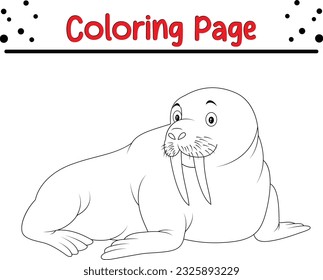 Walrus coloring images stock photos d objects vectors