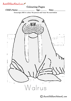Polar animals colouring pages