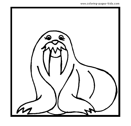 Sea lion with big teeth color page