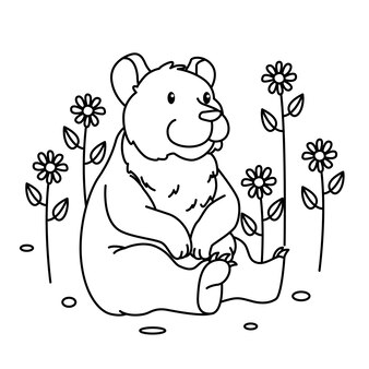 Page walrus coloring page images