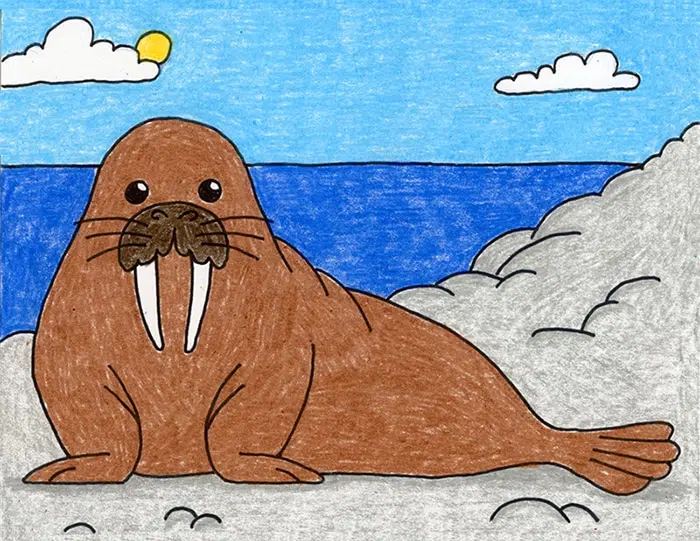 Easy how to draw a walrus tutorial and walrus coloring page