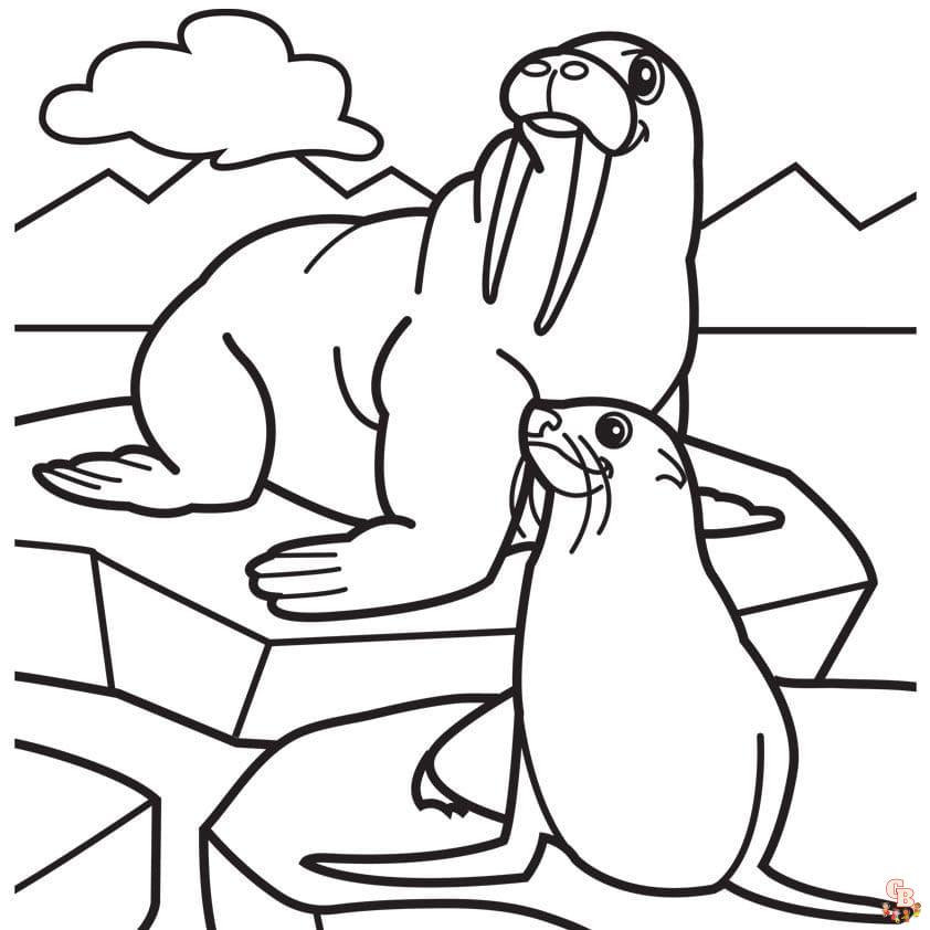 Printable walrus coloring pages free for kids and adults