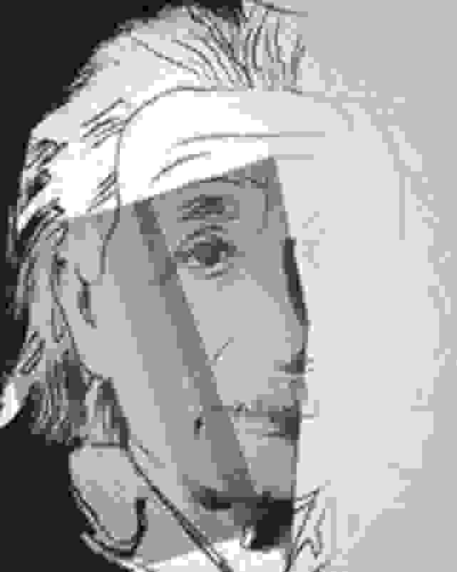 Andy warhol albert einstein