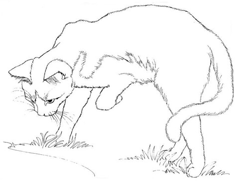 Cat watching himself in a puddle coloring page free printable coloring pages