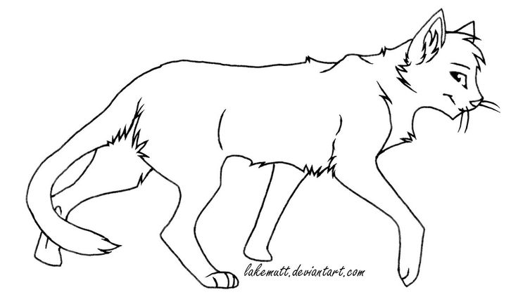 Warrior cat colouring pages cat coloring page warrior cat drawings warrior cats books