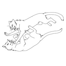 Top free printable warrior cats coloring pages online