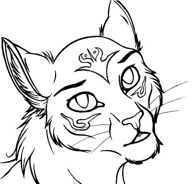 Warriors cats coloring pages pictures free printable