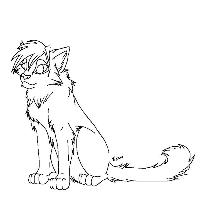 Cute warrior cat coloring page cat coloring book horse coloring pages