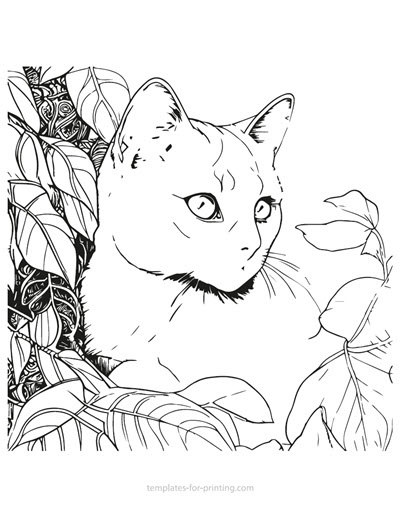 Coloring pages cats â templates