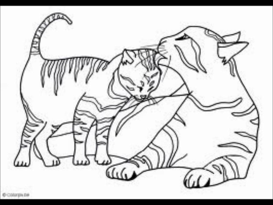 Coloring sheets i use to make warrior cats stormthewolfs bg i made