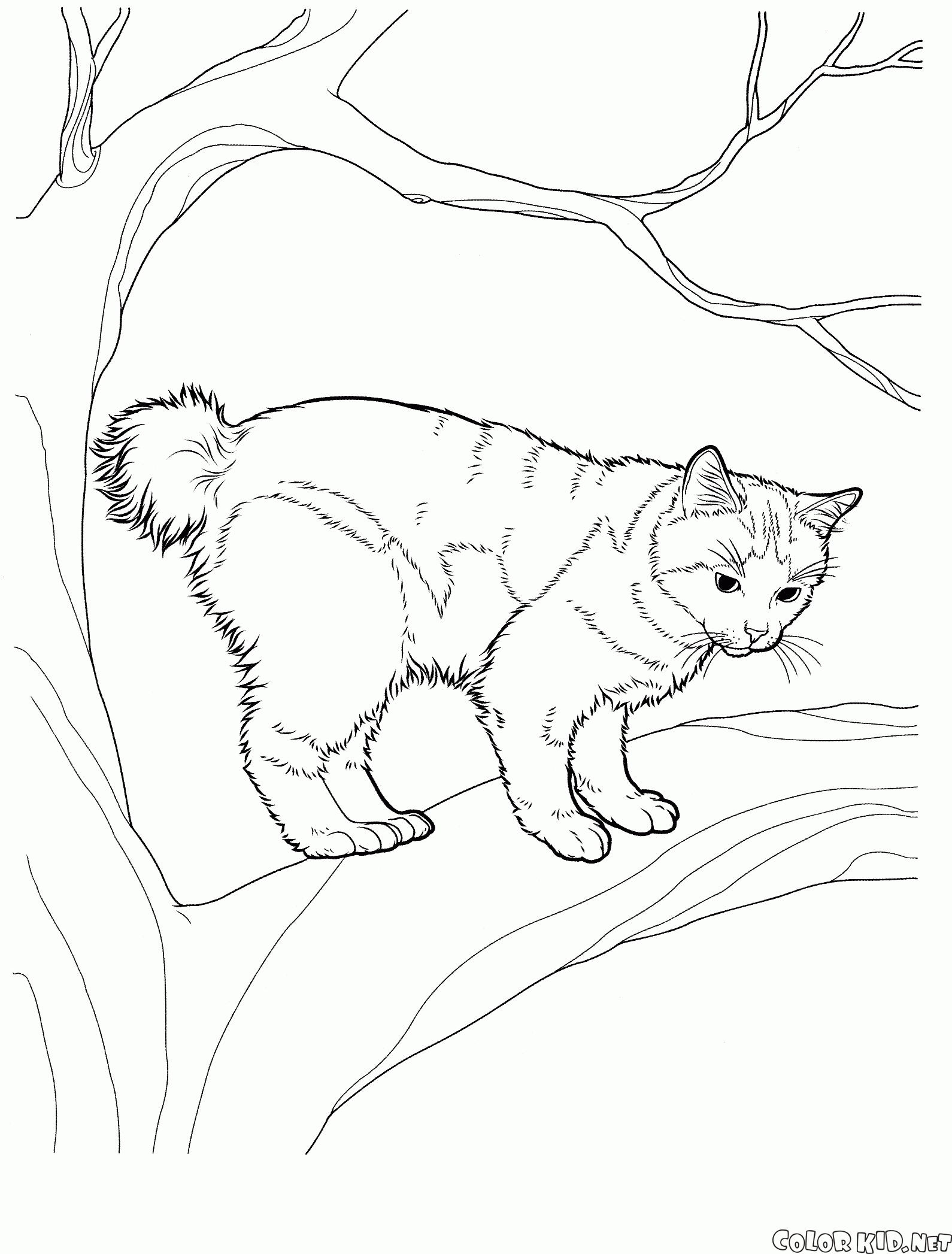 Coloring page