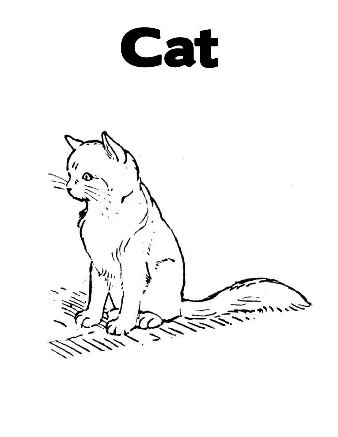 Free printable cat coloring pages for kids