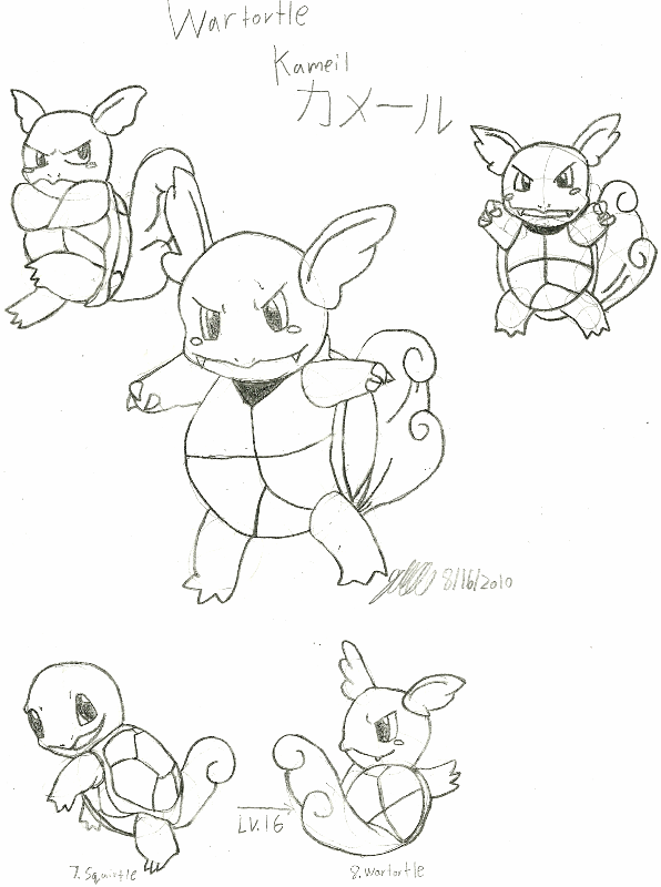 Wartortle kamiel by zimzu