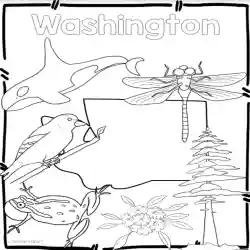 Washington state symbols clip art by teach simple