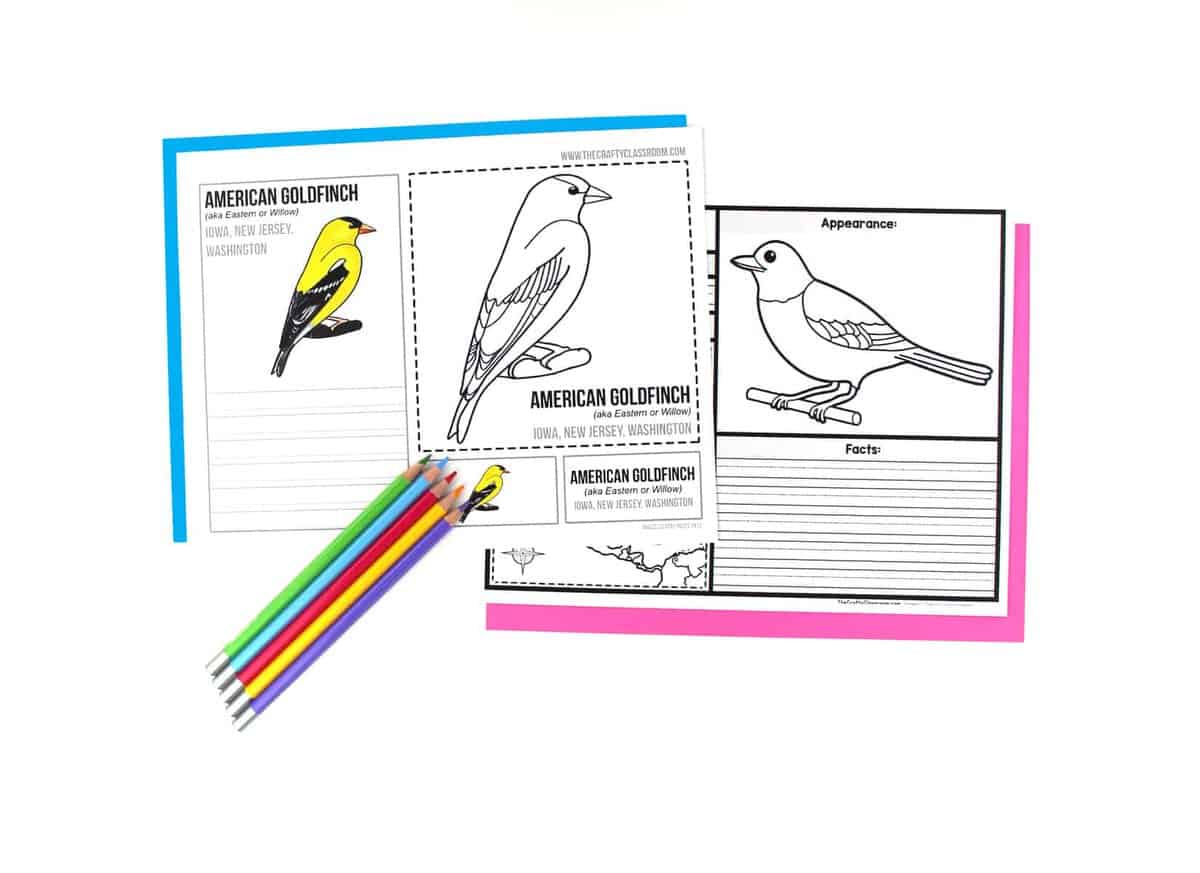 State birds activity pack