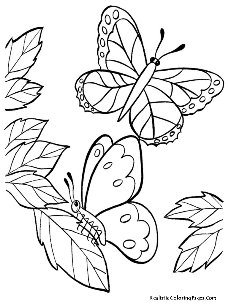Pollinator coloring pages â seattles favorite garden store since