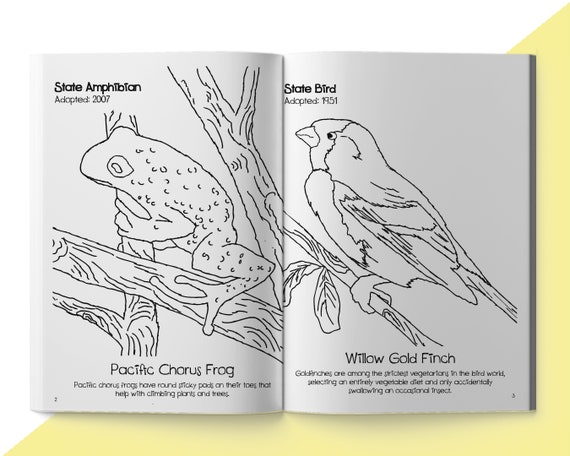 Doodles evergreen state coloring fun washington state art travel guide washington state wildflowers travel coloring book coloringartcreation