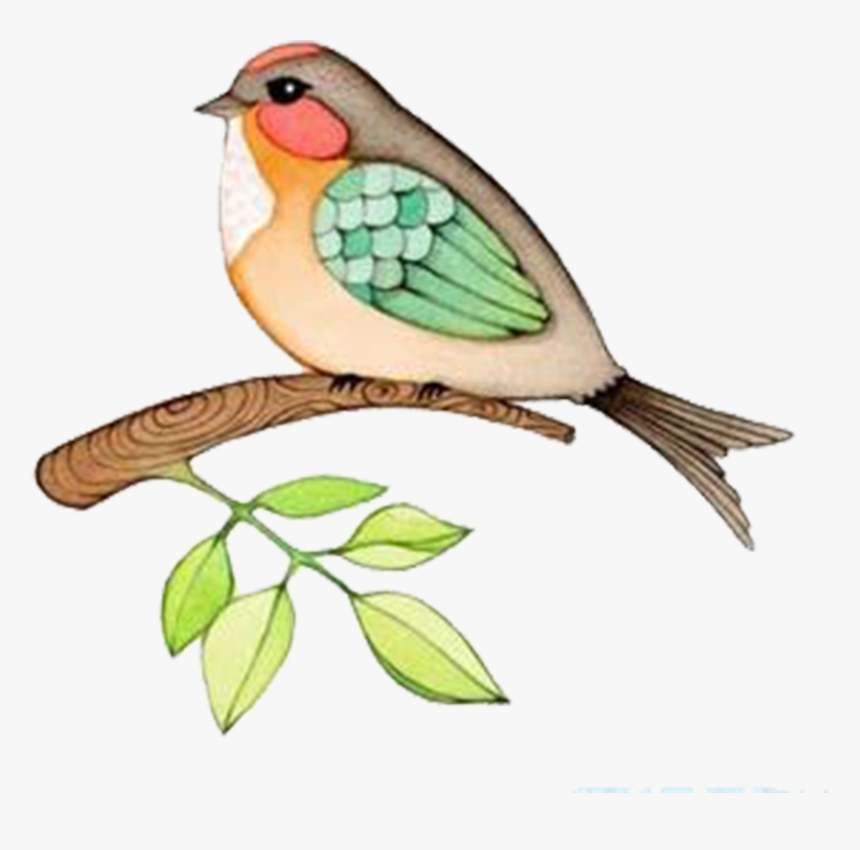 Washington state bird drawing