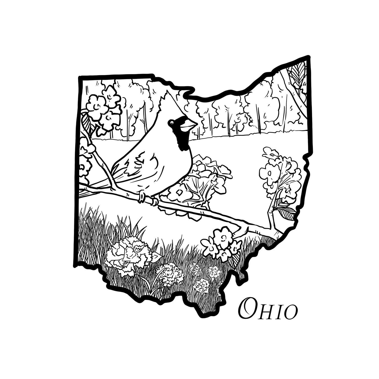 Ohio â corvidae drawings designs