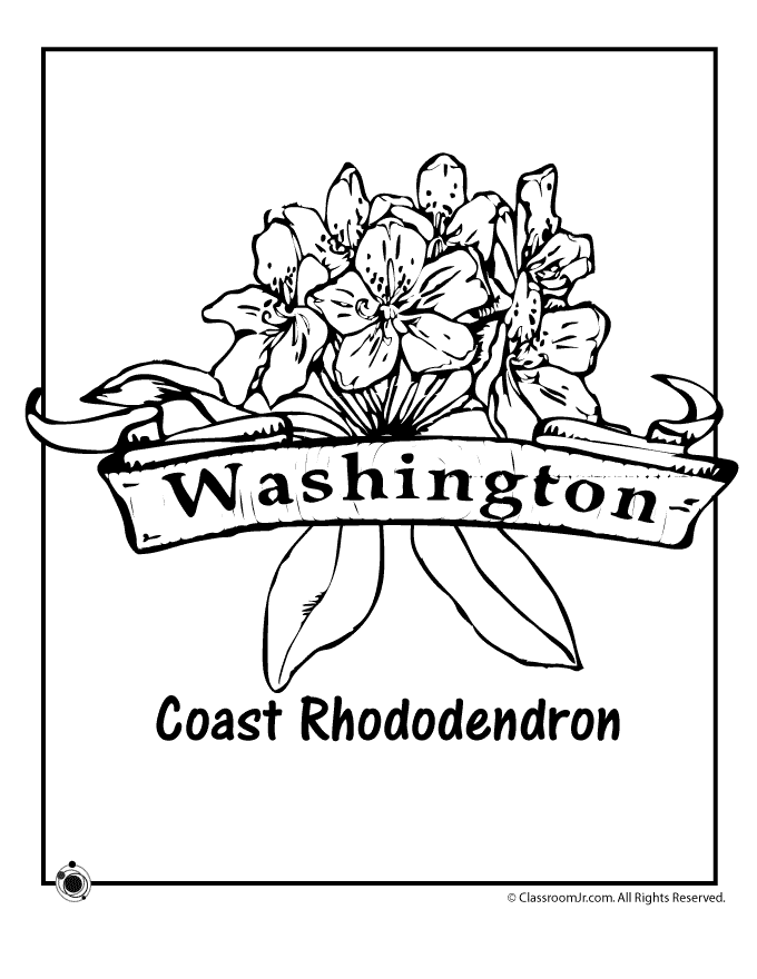 Washington state flower coloring page woo jr kids activities flag coloring pages flower coloring pages coloring pages
