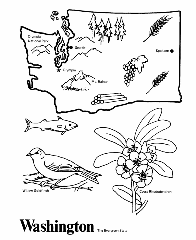Discover the beauty of washington coloring pages
