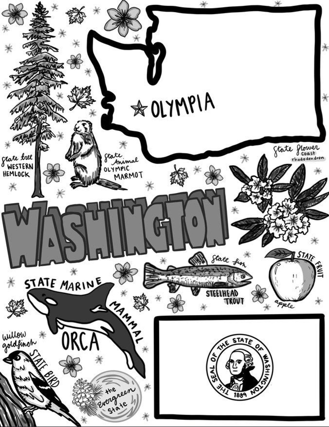 Washington coloring page