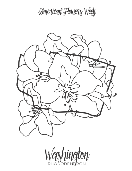 State flowers â free coloring pages â american flowers week